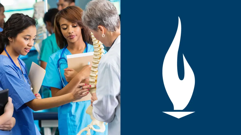 Nursing students reviewing anatomical spine model with instructor Nursing students reviewing anatomical spine model with instructor