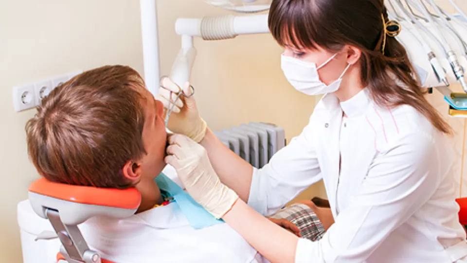 Dental Hygienist Dental Hygienist