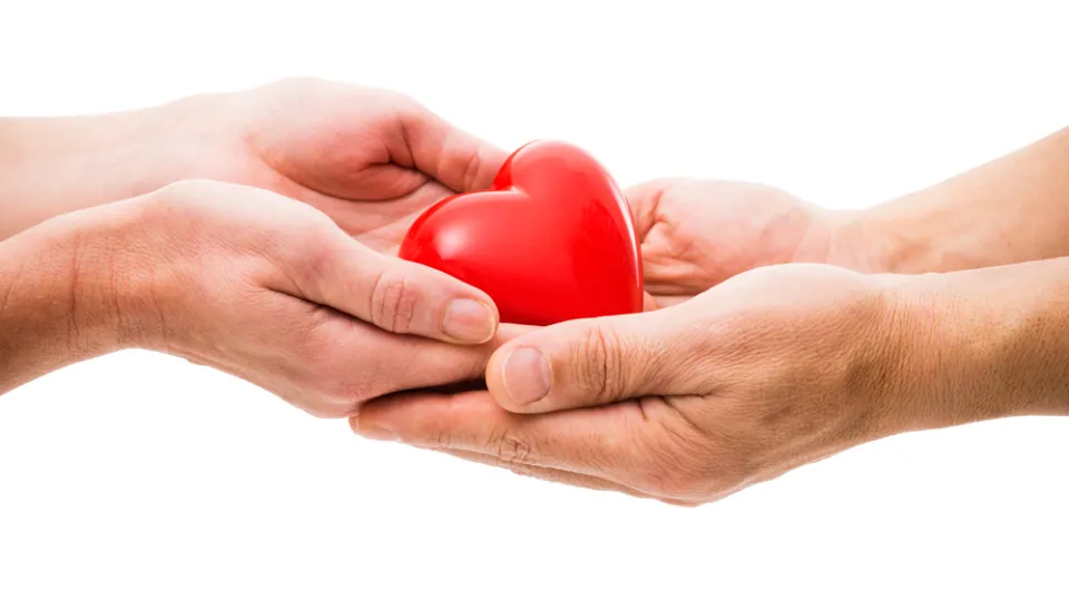 Heart at the human hands giving life through organ donation