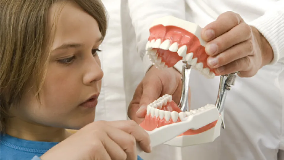 How to brush your teeth