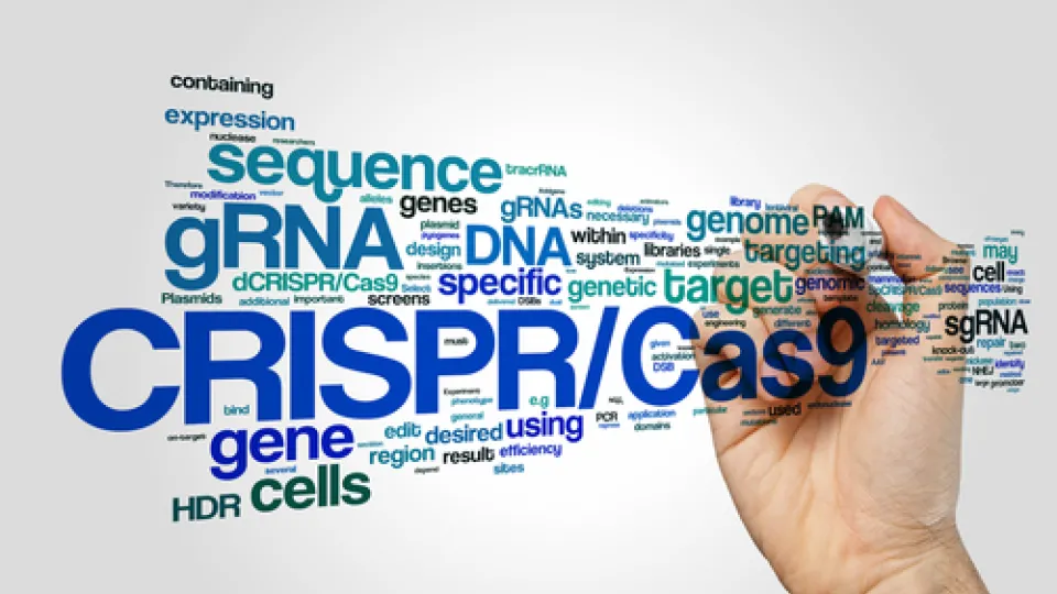 health care awareness (11) discovering the CRISPR gene