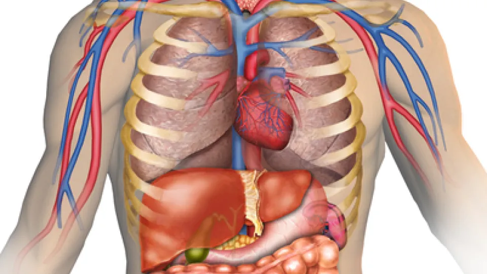 health care awareness (8) health care awareness